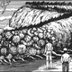 Illustration for article titled Heres one of the most disturbing sea monster stories youll ever see